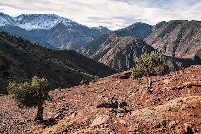 Tizi Oussem - Haut-Atlas - Maroc