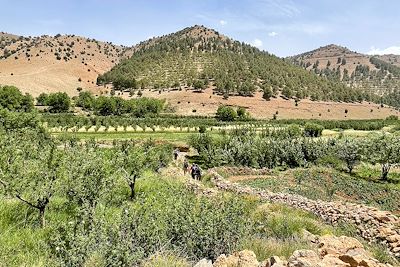 Vallée des Ait Bougmez - Maroc