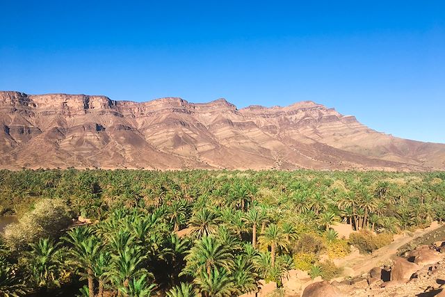 Voyage Casbah du Drâa et désert