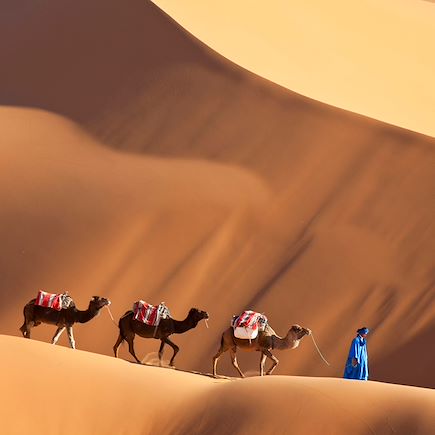 Voyage Sahara
