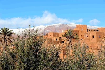 Oasis du Sud - Maroc