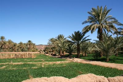 Dunes de sable, palmeraies et Marrakech