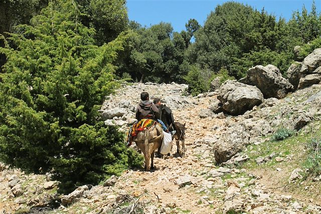 Voyage Villes impériales et merveilles du Sud