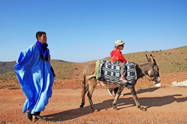 Randonnée avec mulet Côte Atlantique Marocaine