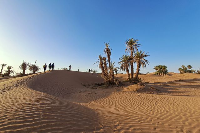 M Hamid El Ghizlane - Sahara - Maroc