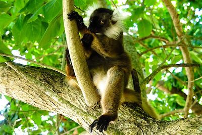 Voyage Randonnée nord malgache, tsingys et océan Indien 1