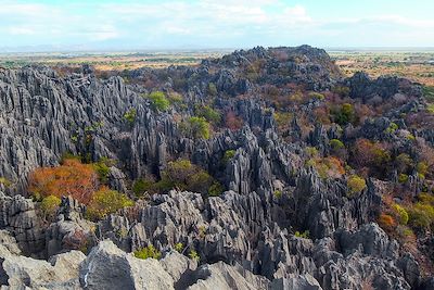 Grande aventure au pays des lémuriens