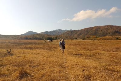 Chemin menant au village d'Ananina - Nord-Est de Madagascar