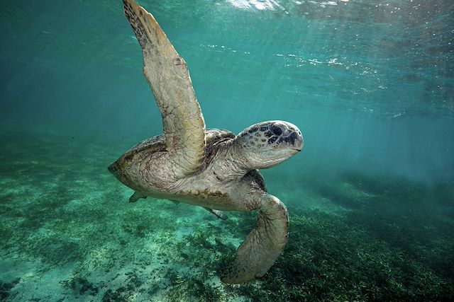 Voyage Sentier caché au pays de la vanille et des Tsingys