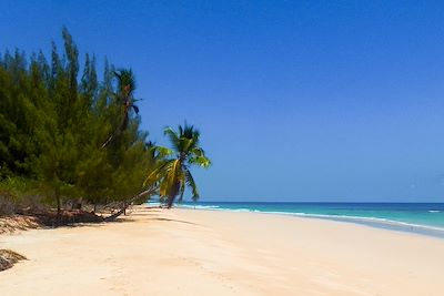 Les joyaux du nord en lodge