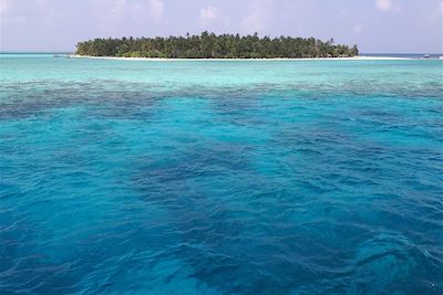 Maldives : Circuits accompagnés