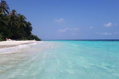 Île Embudu - Maldives