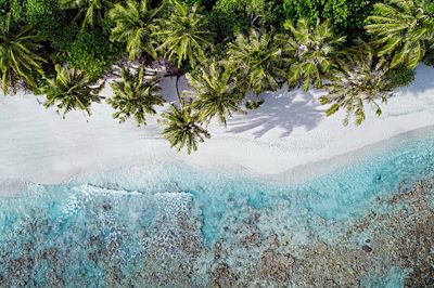 Vue aérienne - plage aux Maldives