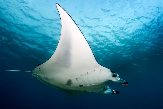 © Fotolia