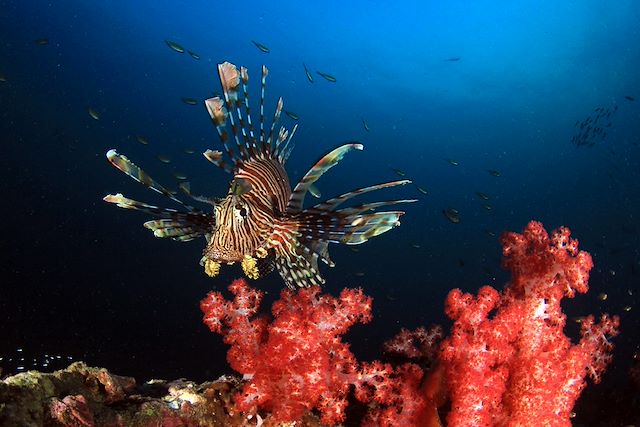 © Fotolia