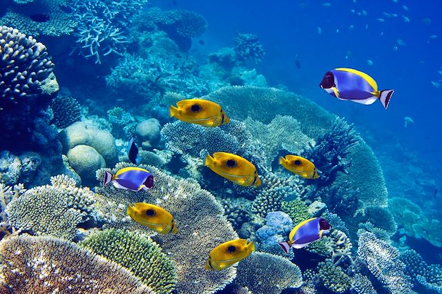 © Konstantin Kulikov / stock.adobe.com