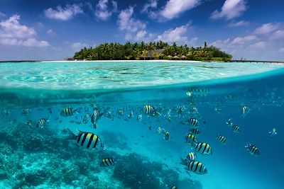 Circuits accompagnés Maldives