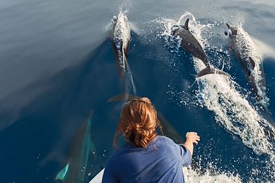Avec les dauphins aux Maldives