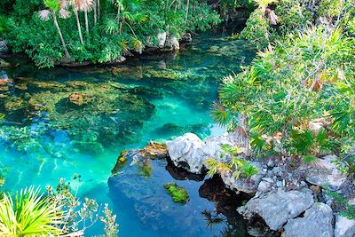 Voyage Cités mayas entre Chiapas et Yucatán 1