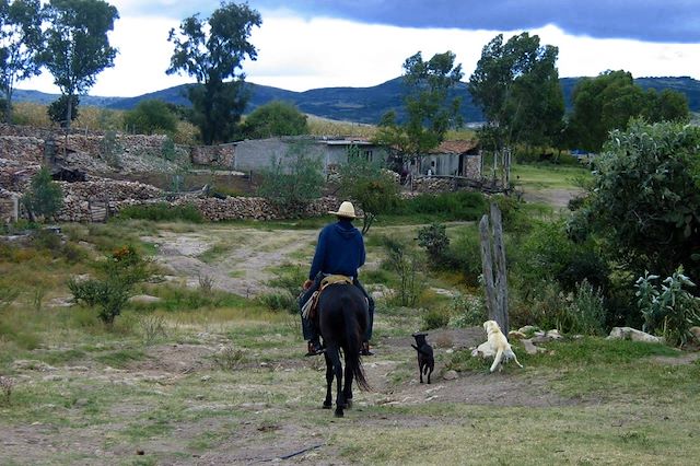 Forêts, collines, rivières et lacs : Les monarques du Mexique Voyage Les monarques du Mexique