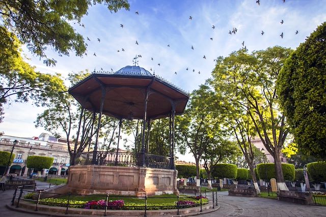 Forêts, collines, rivières et lacs : Les monarques du Mexique Voyage Les monarques du Mexique