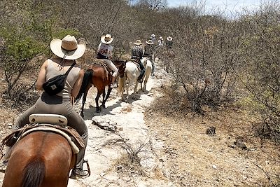 Equitation vers San Miguel de Allende - Mexique 