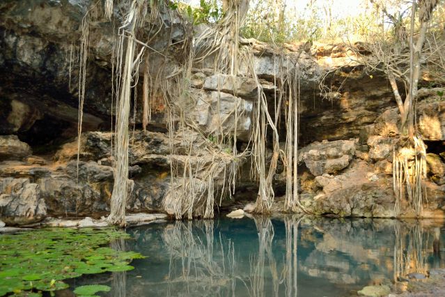 Découverte des cenotes X-Batun - Mexique