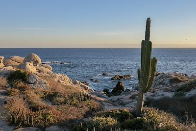 Le désert de Los Cabos et son littoral - Mexique