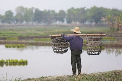 © Antoine Boureau / Photononstop - Rizières de Birmanie Rizières de Birmanie