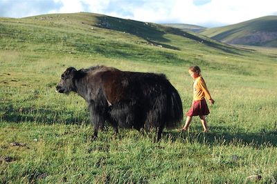 Dans les steppes du Khangaï - Mongolie