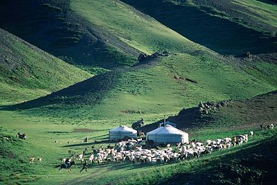 © Patrick Le Floc'h - Mongolie Mongolie
