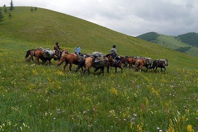 Parc national de Terelj - Mongolie