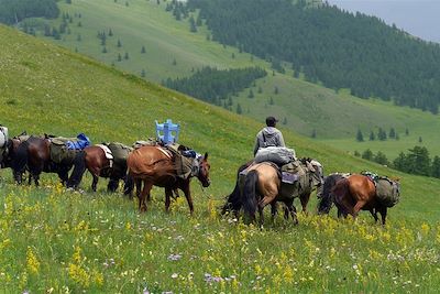 © Valérie Braive - Parc national de Terelj - Mongolie Parc national de Terelj - Mongolie