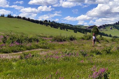 Parc national de Terelj - Mongolie