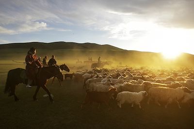 Famille nomade à cheval guidant un troupeau - Steppes - Tsenkher Valley 