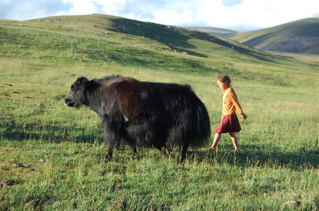 Dans les steppes du Khangaï - Mongolie