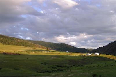 Steppe - Mongolie