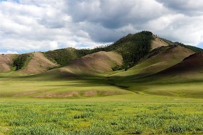 Steppe - Mongolie