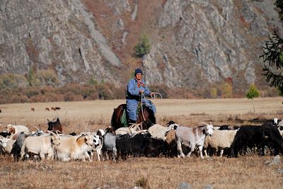 Eleveur Nomade - Mongolie
