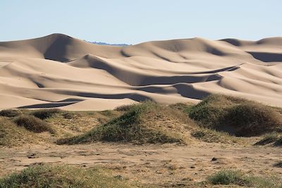 Dunes de Khongor - Désert de Gobi - Mongolie