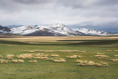 Route de l'Orkhon à Kharkhorin - Khangai - Mongolie