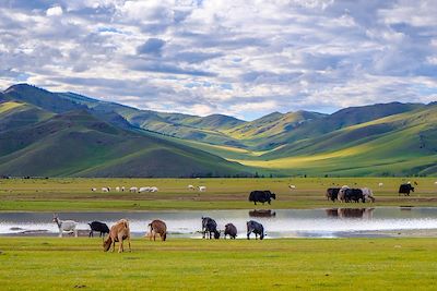 Vallée de l'Orkhon - Mongolie