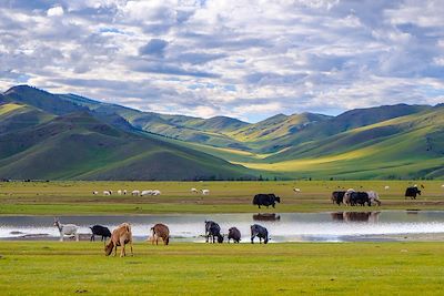Voyage Trek des dunes du Gobi au parc des 8 lacs 2