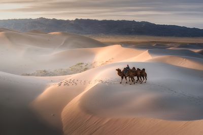 Du désert de Gobi à la vallée de l'Orkhon
