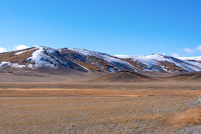 Circuits accompagnés Mongolie