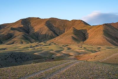 Gobi Altaï - Mongolie