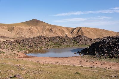 Gobi Altaï - Mongolie