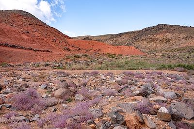 Gobi Altaï - Mongolie
