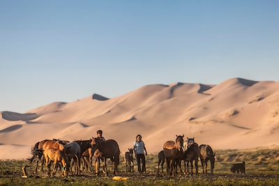 © PREVOST Vincent / hemis.fr - Dunes de Khongor - Mongolie Dunes de Khongor - Mongolie