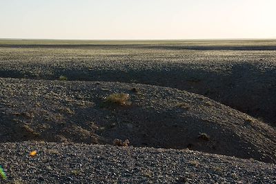 Bayanzag - Désert de Gobi - Mongolie